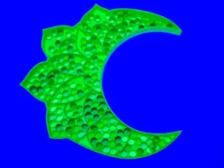 bandejas sensoriales fluorescentes_Sumando Momentos