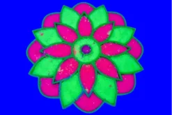 bandejas sensoriales fluorescentes_Sumando Momentos