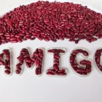 letras rellenables transparentes mayusculas