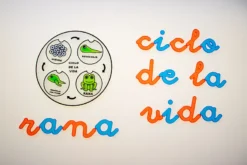 Proyectos educativos