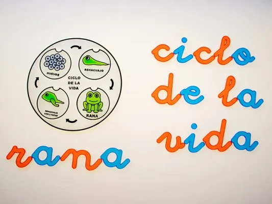 Proyectos educativos