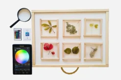 Mesa de luz Montessori