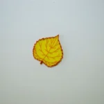 hojas translucidas arboles de españa