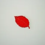 hojas translucidas arboles de españa