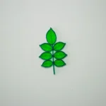 hojas translucidas arboles de españa