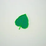 hojas translucidas arboles de españa