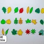 hojas translucidas arboles de españa