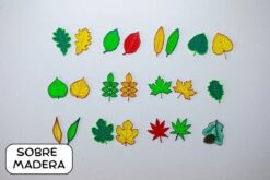 hojas translucidas arboles de españa