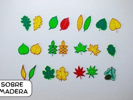 hojas translucidas arboles de españa