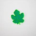 hojas translucidas arboles de españa