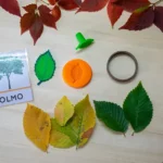 sellos de hojas de árboles de España