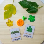 sellos de hojas de árboles de España