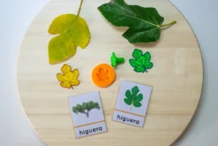 sellos de hojas de árboles de España