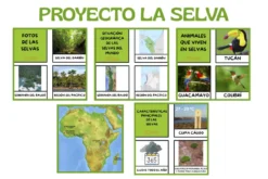Imprimible proyecto sobre la selva