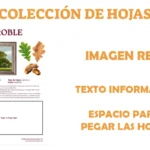 album para coleccionar hojas de arboles de España