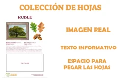 album para coleccionar hojas de arboles de España