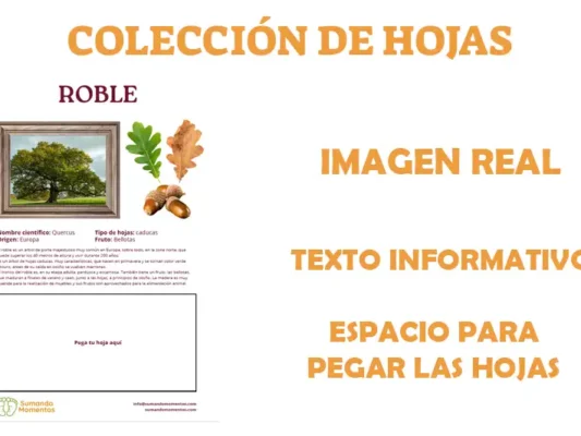 album para coleccionar hojas de arboles de España