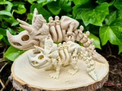 Esqueletos de dinosaurios