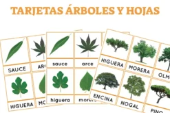 tarjetas con foto real de arboles y hojas we
