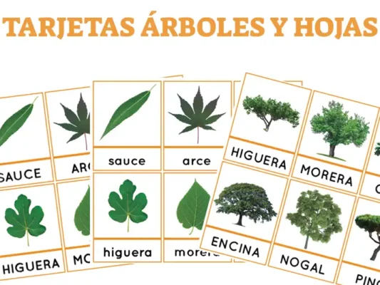 tarjetas con foto real de arboles y hojas we