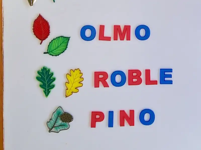 Material didáctico para enseñar a leer y escribir Material didáctico para enseñar a leer y escribir