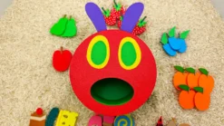 sensobox oruga glotona_bandeja sensorial